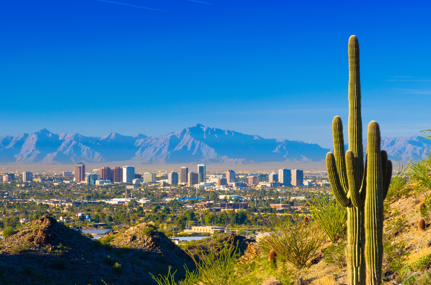 Phoenix skyline with saguaros and mountains.